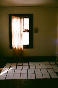 1897813_10104772488686234_551842364_n