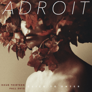 adroit+13+cover